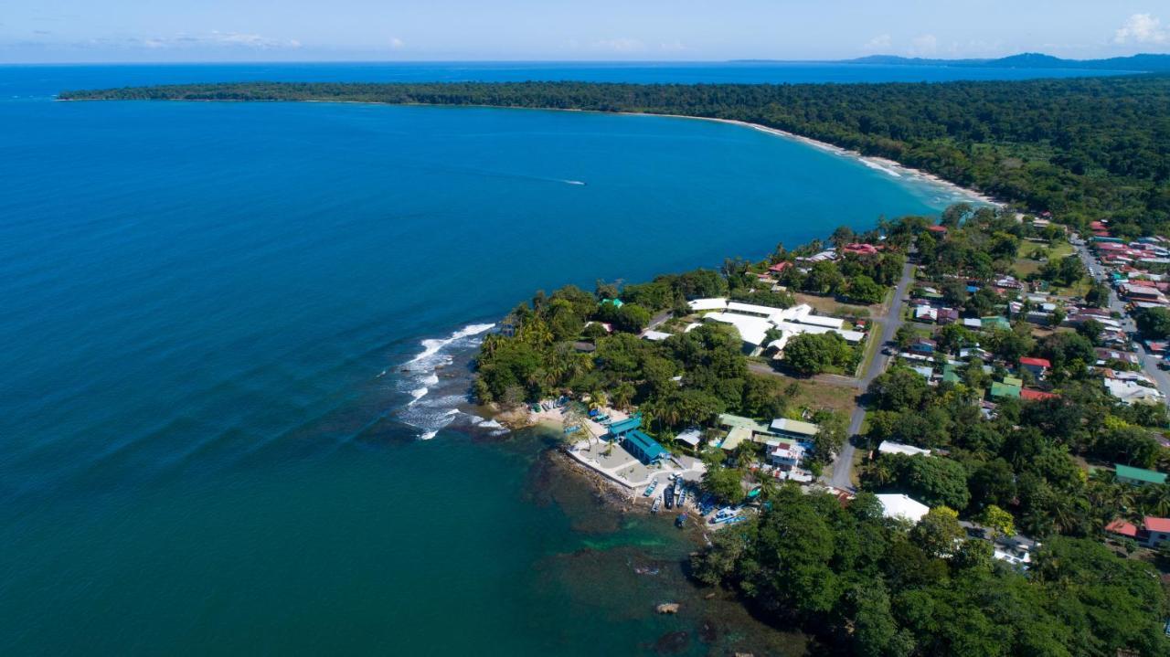 Gigi Brown Villa Paparazzi Beachfront Puerto Viejo de Talamanca Dış mekan fotoğraf