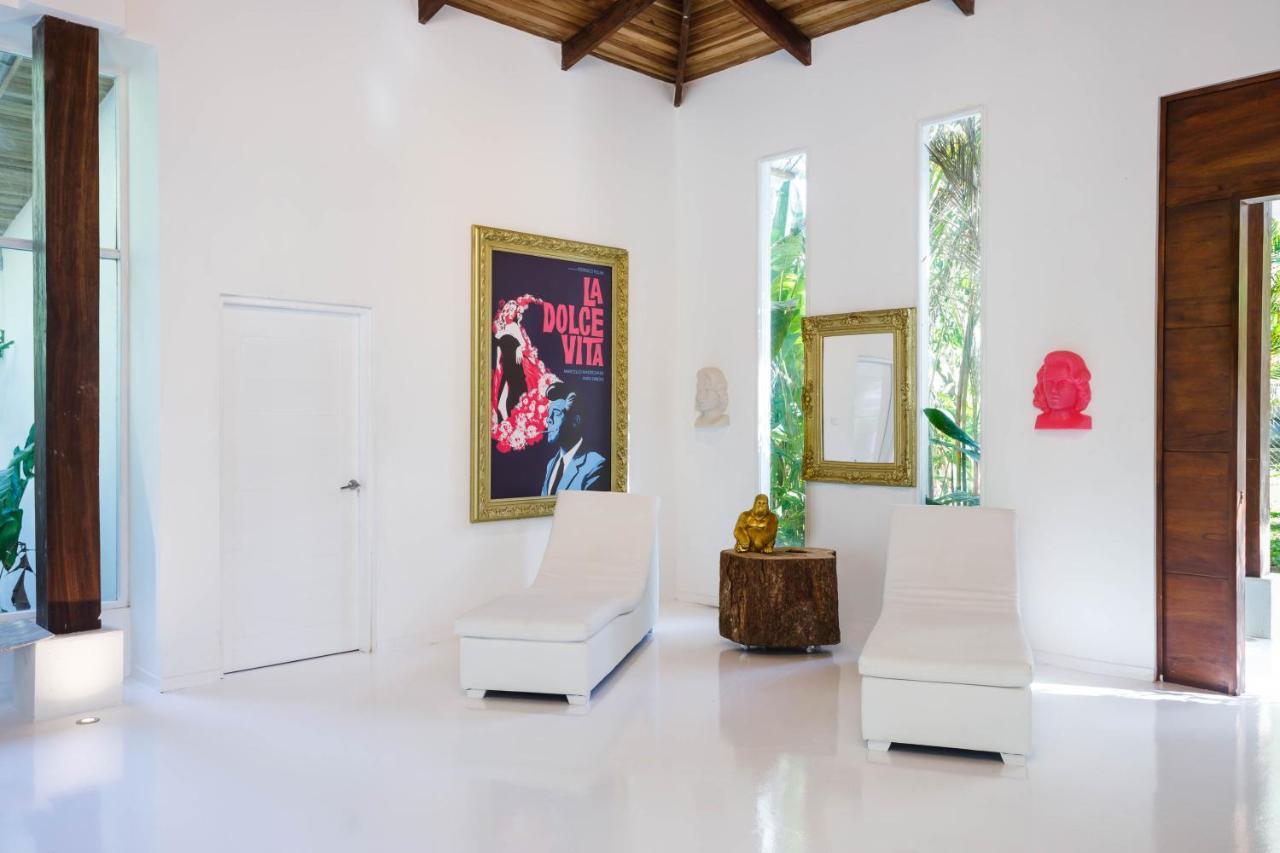 Gigi Brown Villa Paparazzi Beachfront Puerto Viejo de Talamanca Dış mekan fotoğraf
